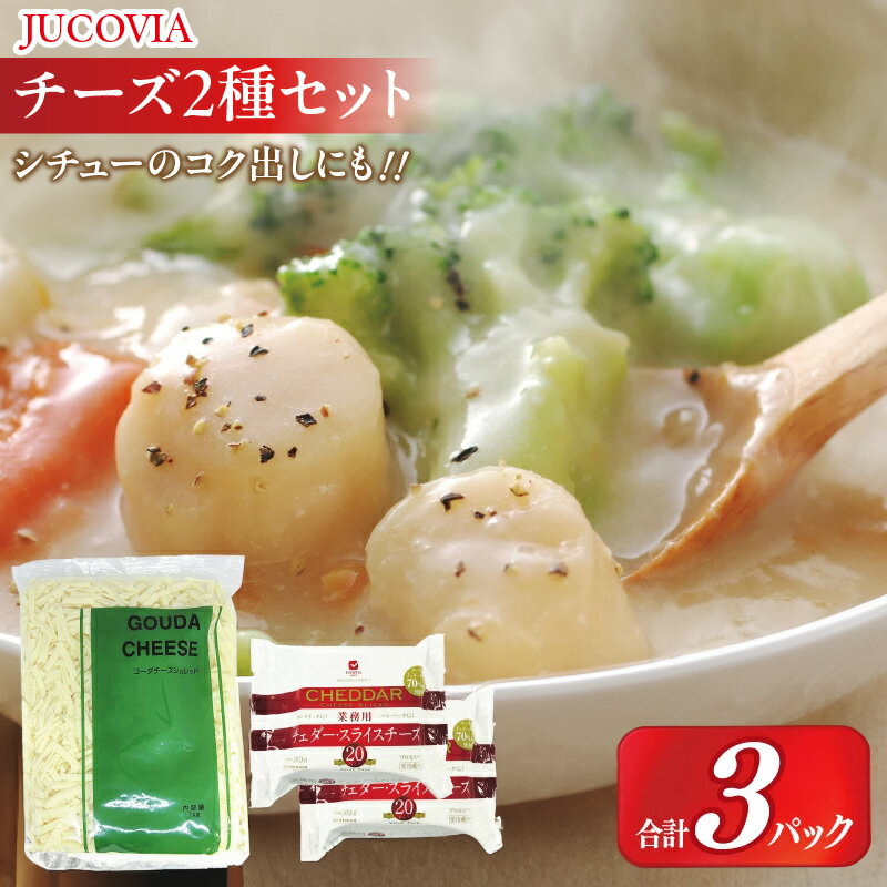 【ふるさと納税】ムラカワチーズ JUCOVIA 業務用 チェダースライスチーズ 20枚 × 2パック オランダゴーダーシュレッド 1kg チーズ 2種 セット 乳製品 サンドイッチ お取り寄せ 大阪府 泉佐野市 送料無料