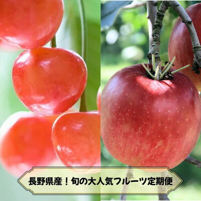 【ふるさと納税】【発送月固定定期便】2026年発送予定 長野の果物 さくらんぼ+サンふじ全2回【配送不可地域：離島】【4081264】