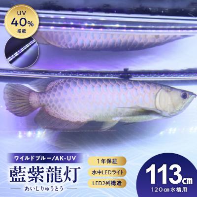 ふるさと納税 小牧市 スリム&amp;高耐久!金龍を美しく、UV-Aチップ配合の水中LED|AK-120UV-EX[172C15]