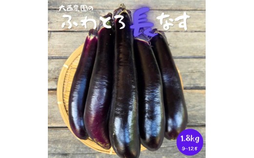 
                  ふわとろ長ナス 1.8kg 9～12本 茄子 なす 茄子 ナス 旨い 甘い 野菜 夏野菜 旬 産地直送 農園直送 送料無料 大西農園 岐阜県 揖斐川町
                