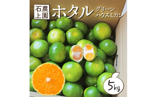 AF-A1 ＜先行予約＞串間市都井「石上農園」自慢のホタル グリーンハウスミカン 5kg（約60個）【石上農園】