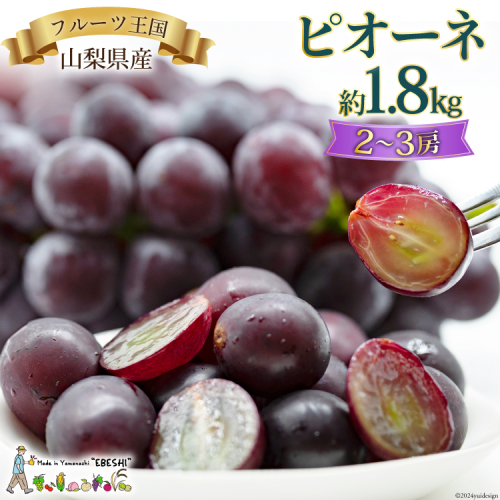 山梨県産 ピオーネ 約1.8kg [株式会社えべし 山梨県 中央市 21470729] フルーツ 果物 くだもの 産地直送 期間限定 季節限定 冷蔵 【2026年8月下旬-10月上旬発送予定】
