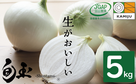 新玉ねぎ　生がおいしい　神重農産のブランド玉ねぎ「旬玉」5㎏　H105-110