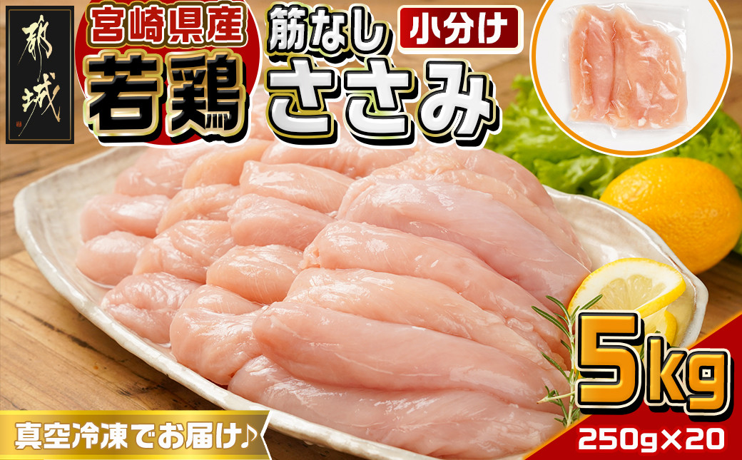 
            宮崎県産若鶏筋なしささみ5kg_26-M601_(都城市) 宮崎県産 若鶏 鶏肉 ささみ 筋なし 筋なしささみ サラダ ささみチーズ バンバンジー
          