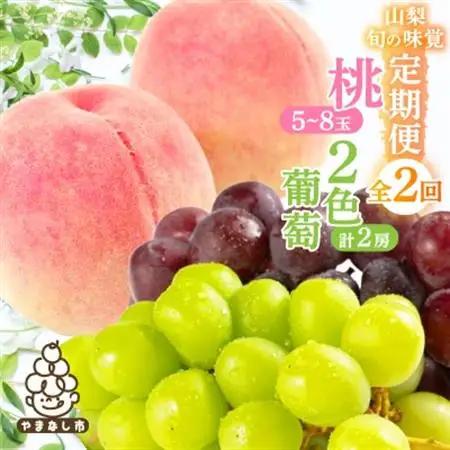 【発送月固定定期便】山梨旬の味覚定期便【桃 約2kg/2色葡萄 1kg以上】全2回【配送不可地域：離島】【4082866】