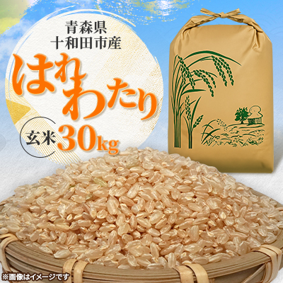 【令和7年産】はれわたり30kg(玄米)【配送不可地域：離島・沖縄】【1680302】