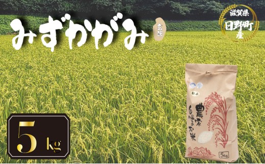 【 令和8年産 米 5kg 】 みずかがみ 米 玄米 国産 滋賀県 日野町 農家直送 お米 おこめ こめ 産地直送 ふるさと納税