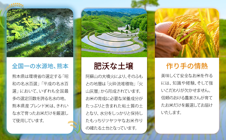 【6ヶ月定期便】 無洗米 ひのくに米 10kg 《お申込み翌月から出荷》 食品 米 こめ コメ 熊本県産 ふるさと納税 お米 おこめ 熊本---ubuyama_lcl_1076_mo6---