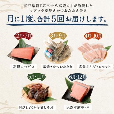 ふるさと納税 室戸市 海からの贈り物!マグロとカツオの定期便【5回お届け】【コロナ支援 訳あり】 |  | 01