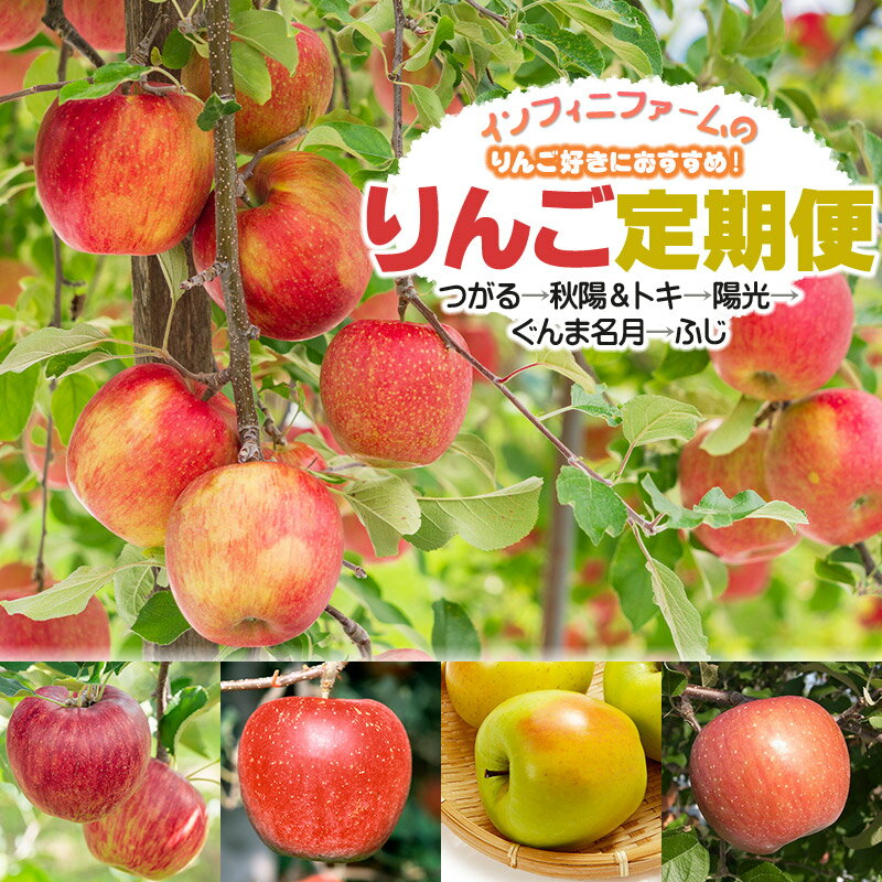 【ふるさと納税】【令和8年産先行予約】【5回定期便】りんご好きにおすすめ！インフィニファームのりんご定期便　［つがる→秋陽＆トキ→陽光→ぐんま名月→ふじ］ 鶴岡市櫛引産
