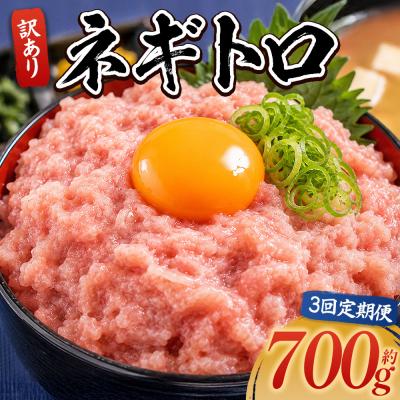 ふるさと納税 香南市 【定期便】ネギトロ丼にも 訳ありネギトロ 小分け まぐろ セット 3回 計700g Wda-0020