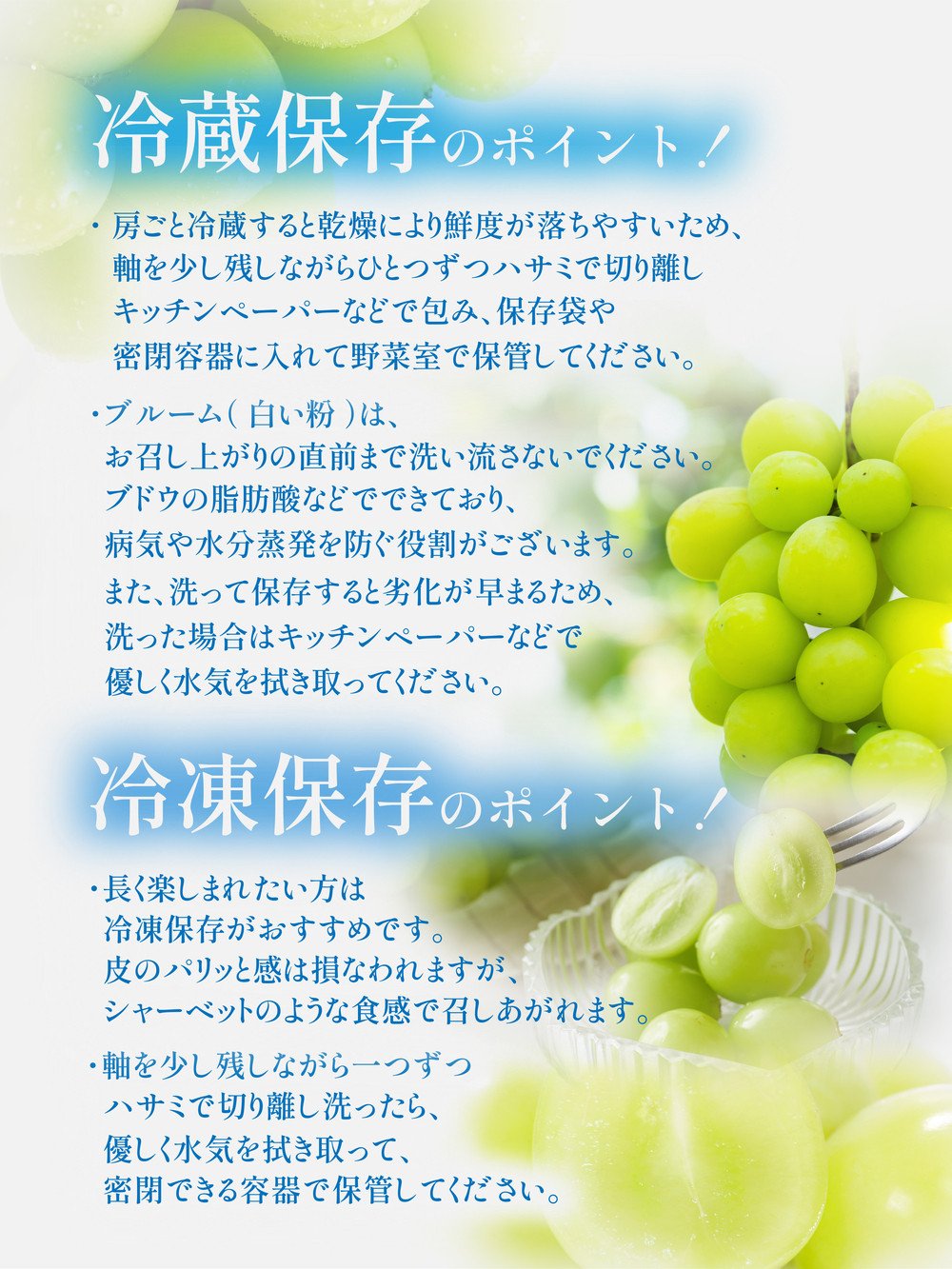 【岡山県産】シャインマスカット 約600g