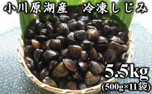 
《レビューキャンペーン》砂抜き済みで手間いらず！冷凍・小川原湖産大和しじみ5.5kg（500g×11袋）　【02408-0030】
