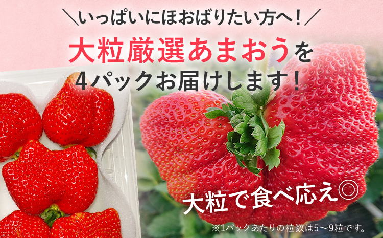 【2027年発送先行予約】厳選大粒あまおう(約250‐270g x 4パック) お取り寄せグルメ お取り寄せ 福岡 お土産 九州 福岡土産 取り寄せ グルメ 福岡県