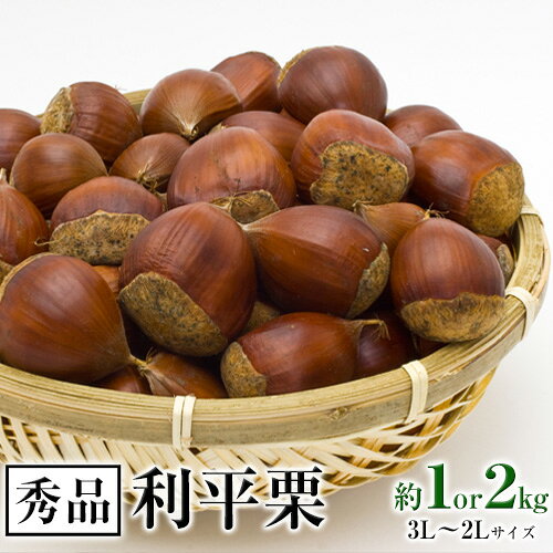 【ふるさと納税】利平栗 熊本県御船町産限定 約1 or 2kg(3L-2Lサイズ)　秋 旬 野菜 予約 スイーツ きんとん 甘露煮 渋皮煮 栗ご飯 熊本県御船町《9月下旬-10月上旬頃出荷》