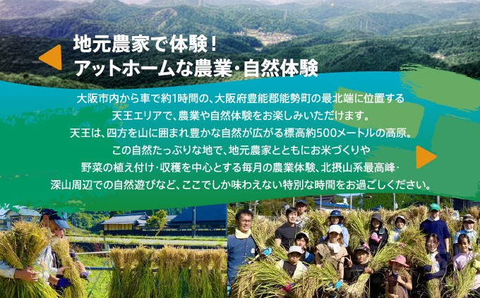 【農業・自然体験】お米づくり、野菜の収穫、ホタル観賞、川遊び 標高500mの集落で特別な田舎体験 | 天王恵み会