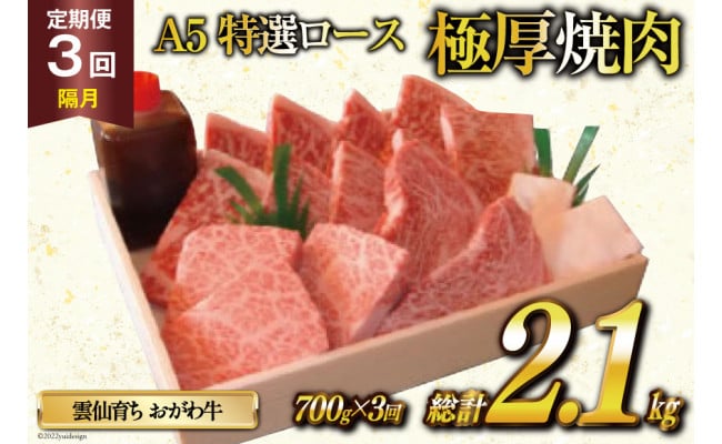 
定期便 3回 牛肉 雲仙育ち おがわ牛 A5 特選 ロース 極厚焼肉 総計2.1kg(700g×3回) 黒毛和牛 冷凍 / 焼肉おがわ / 長崎県 雲仙市
