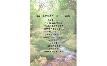 世界自然遺産の屋久島の水でゆっくり淹れた水出しコーヒー