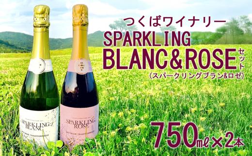 つくばワイナリー SPARKLING BLANC & ROSE セット 【お酒 葡萄 ぶどう ブドウ 茨城県産 つくば市産 ブラン ロゼ スパークリングワイン ワイナリー】