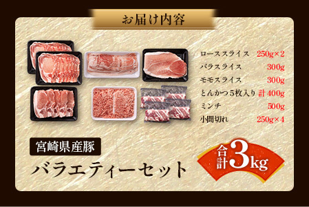 ＜2026年1月配送＞宮崎県産 豚バラエティーセット合計3kg【B691-2601】