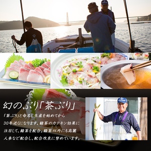 どん薩摩の茶ぶり入り海鮮ちらし丼回数券(12回分) 【株式会社Never Land】never-1183