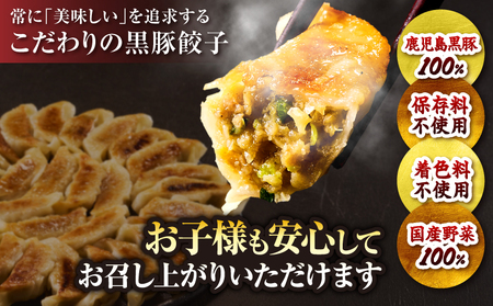 1289-1 鹿児島黒豚 餃子 1.6kg＜96個＞ 豚肉 黒豚 おかず 小分け アレンジ 贈答 鹿児島 鹿屋 こだわり KN054-004 肉 惣菜 総菜