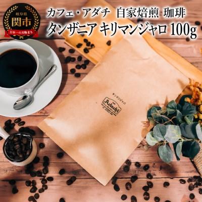 ふるさと納税 関市 タンザニア キリマンジャロ 100g (約10杯分) カフェ・アダチBN-035