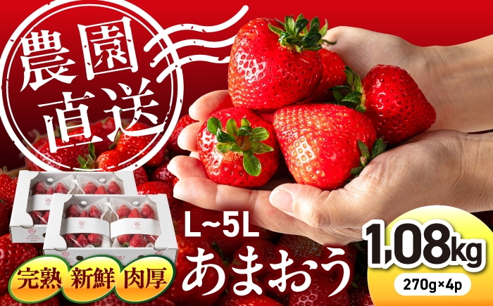 
                   糸島の美味い あまおう 270g × 4パック (A品B品含むL～5L) 糸島市 / 磯本農園 / TANNAL [ATB004] いちご 苺 イチゴ
                
