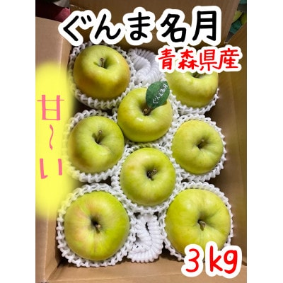 先行受付【青森市産・ぐんま名月】約3kg(家庭用)【1181966】