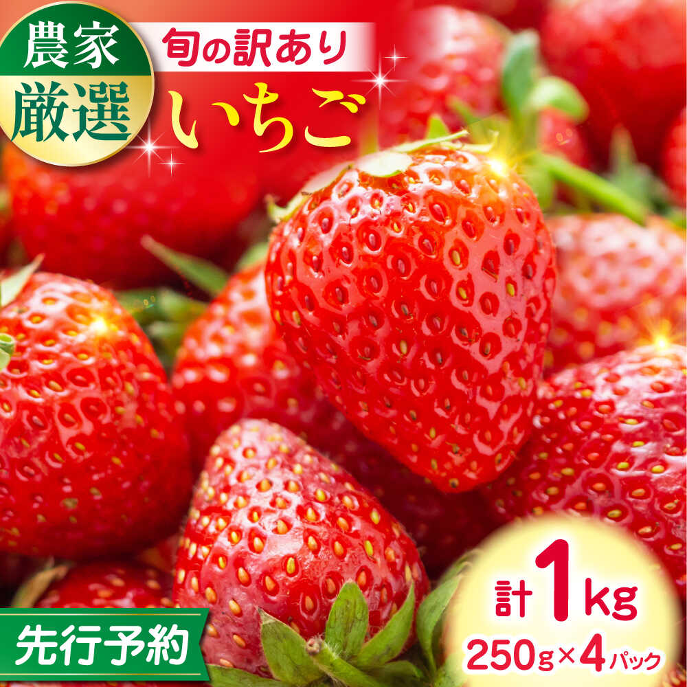 【ふるさと納税】【先行予約】【2025年12月より順次発送】【訳あり】いちご 食べ比べ セット 4品種 計1000g ( 250g × 4P ) 農園直送 産地直送 熊本県産 山都町産 イチゴ 苺 ストロベリー フルーツ 果物 苺 1kg 1キロ 小分け 【なかはた農園】[YBI060]
