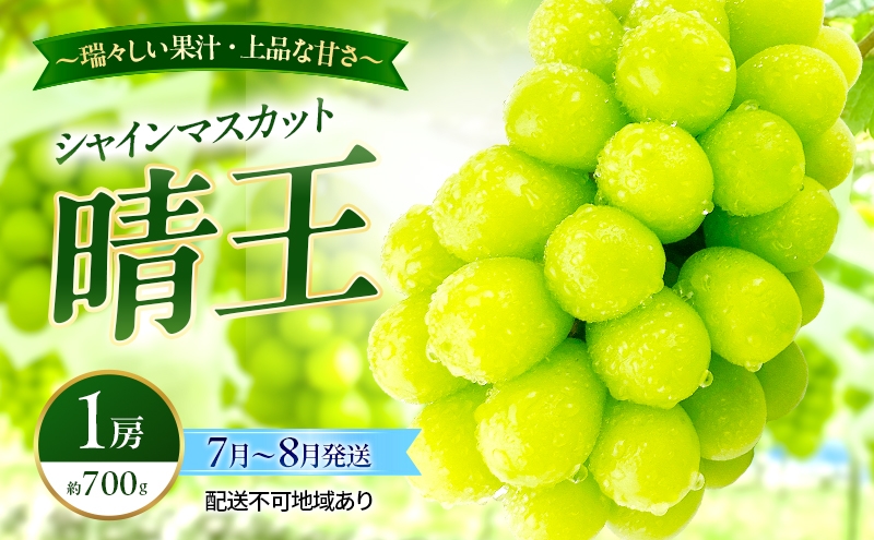 
                  ぶどう 2026年 先行予約 シャインマスカット 晴王 1房 約700g 7月～8月発送 岡山県産 種無し 皮ごと食べる みずみずしい 甘い 温室栽培 晴れの国 おかやま 果物大国 満天フルーツ
                