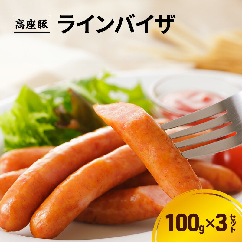 【ふるさと納税】ラインバイザ100g×3セット　手造り 加工肉 豚肉 豚 肉 お肉 ももハム ウィンナー ソーセージ 加工食品 加工品 ギフト 贈り物 プレゼント 神奈川 神奈川県 綾瀬市　お届け：※12月下旬～1月中旬の間はお届けが出来ません。