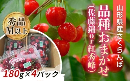【令和8年産先行予約】 さくらんぼ 「佐藤錦または紅秀峰