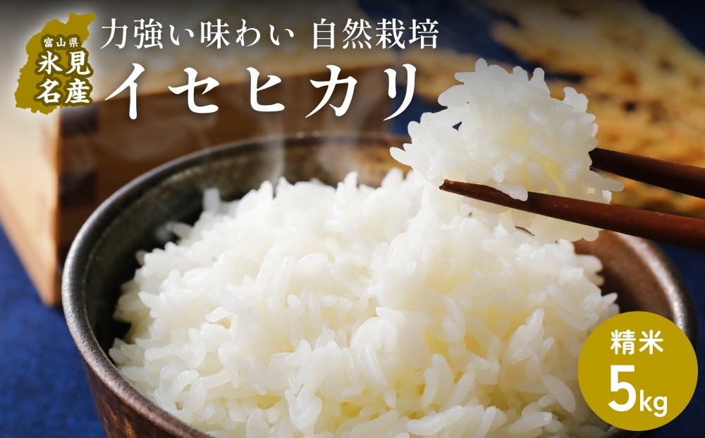 
                  【交響するお米】［精米］自然栽培 イセヒカリ 5kg（富山県 氷見市 / 令和7年産） |   移住農家が里山から直送 米 白米 ブランド米
                