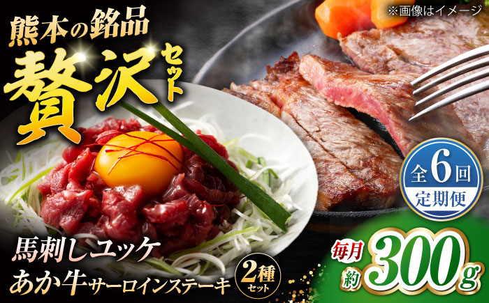【全6回定期便】くまもとあか牛サーロインステーキと厳選馬刺しユッケ贅沢セット 計約300g【有限会社 スイートサプライなかぞの】 [ZBV095]