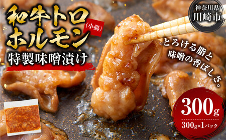 ＜訳アリ＞和牛トロホルモン　特製味噌漬け　0.3kg(300g×1）【順次発送】