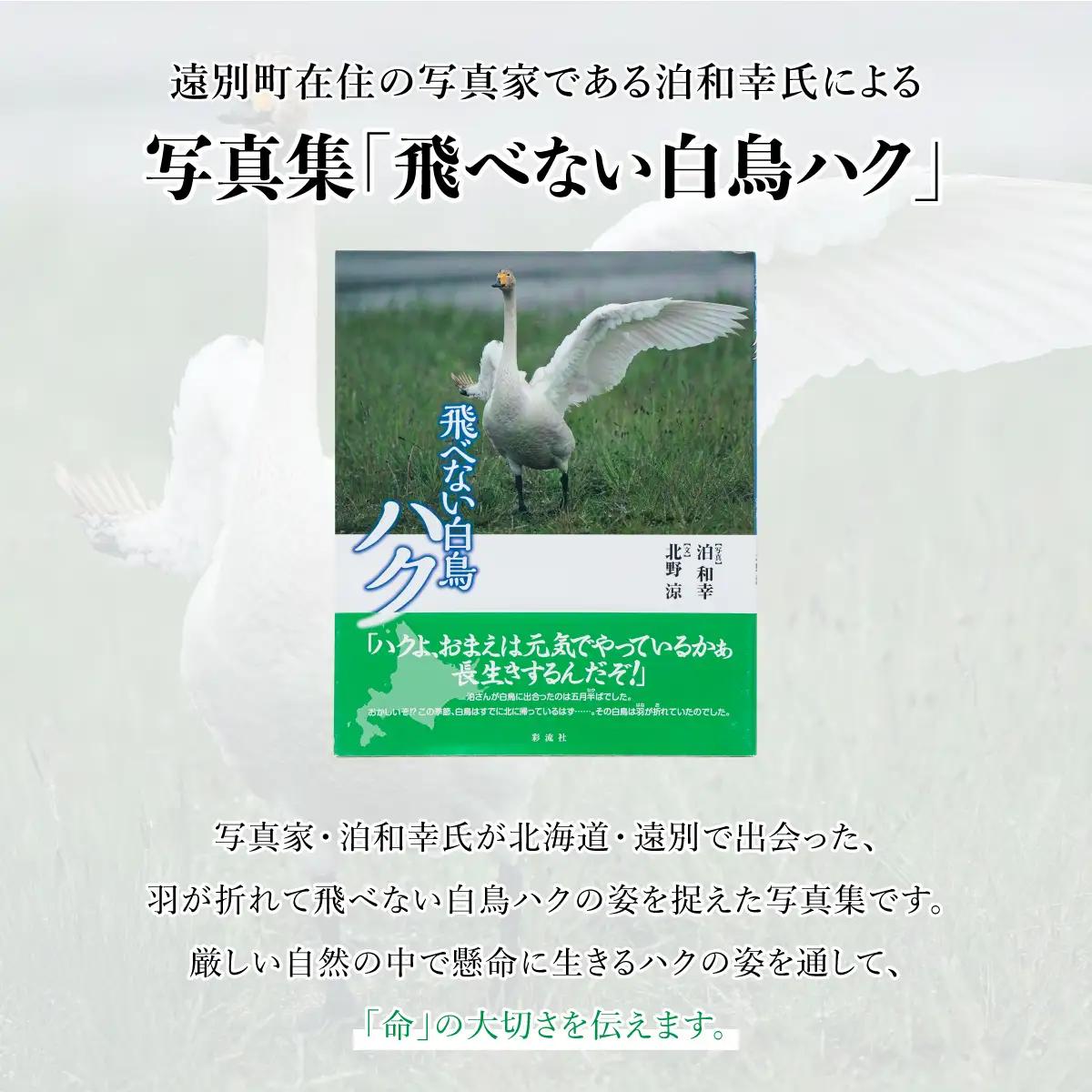 【写真集】飛べない白鳥ハク　彩流社　【野生塾　泊和幸】