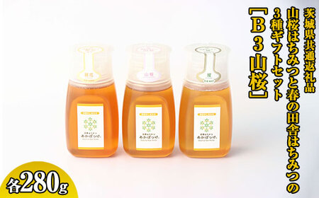 【数量限定】山桜はちみつと春の田舎はちみつの3種ギフトセット[B3山桜] 【茨城県共通返礼品／五霞町】 生ハチミツ 非加熱 茨城県産 ※着日指定不可 _EY02