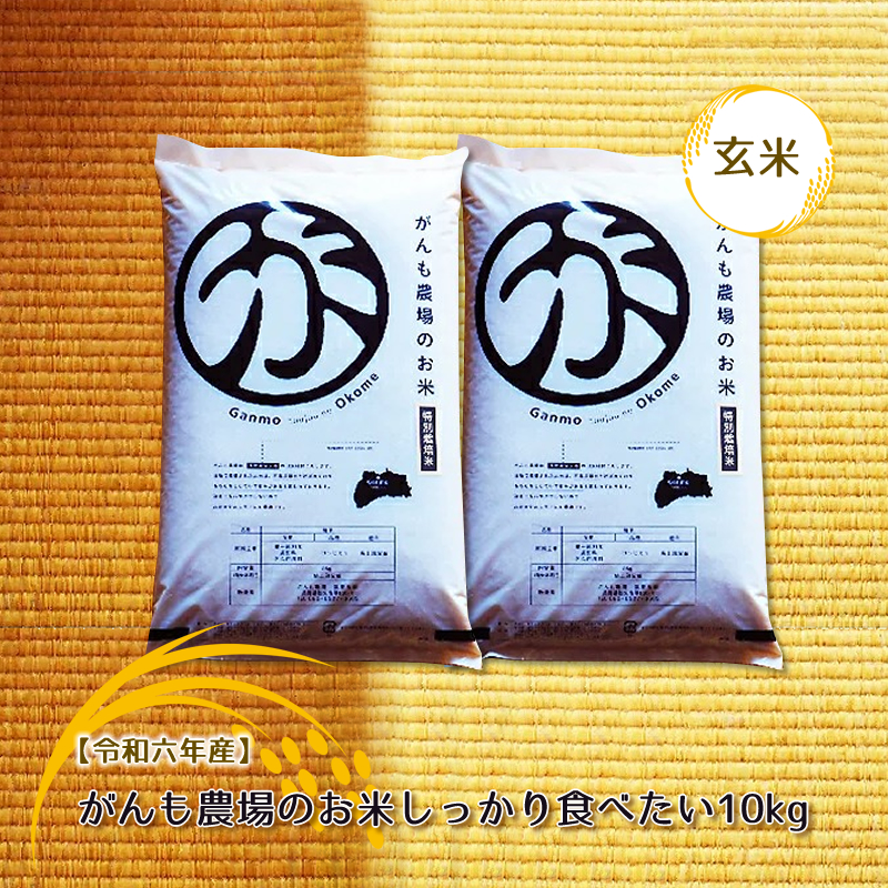 【令和六年産】がんも農場のお米しっかり食べたい10kg（玄米）【出荷開始：2024年10月～】【 コシヒカリ こしひかり 長野県 佐久市 】