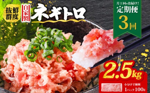 【定期便3回】ネギトロ 月1回 2.5kg (100g×25パック) 小分け | まぐろ 定期便 鮪 ネギトロ ねぎとろ まぐろたたき まぐろのたたき マグロたたき ネギとろ ねぎトロ maguro 簡単調理 手軽 愛媛県 松山市