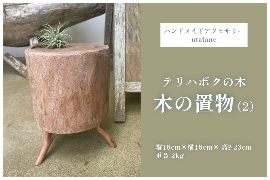 
            DM016『テリハボクの木の置物』（2）
          