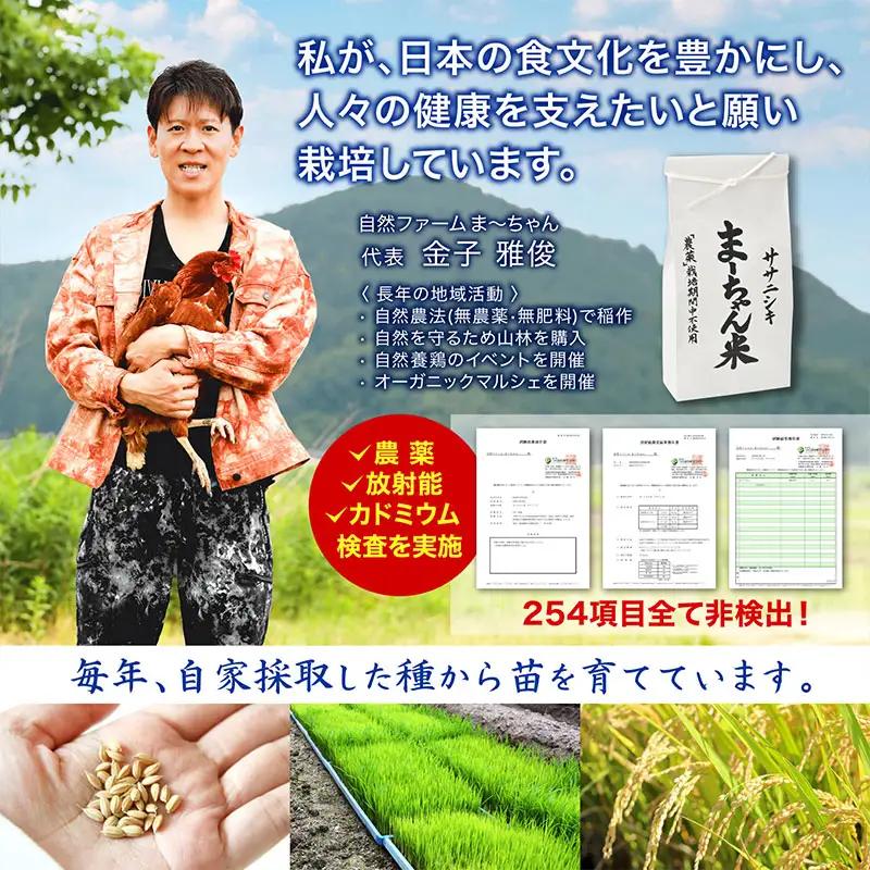 先行予約 ササニシキ 玄米 10kg 令和8年 無農薬 新潟県産 ササニシキ