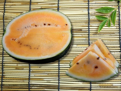 信州波田産 甘いスイカ！信州の黄昏 ( 金色羅皇 ) 【特選】 4L～5Lサイズ 1玉｜ふるさと納税 長野県 信州 松本 果物 フルーツ すいか スイカ 西瓜 大きい 特別 珍しい 黄色スイカ 贈答 