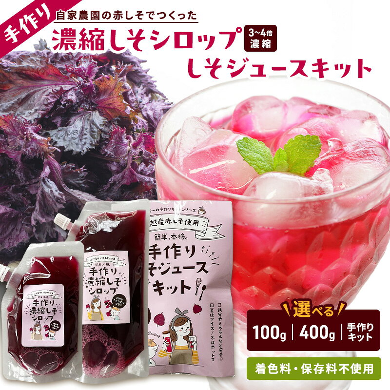 【ふるさと納税】＼選べる種類・容量／ しそジュース 赤しそ 濃縮 シロップ 100g 400g 手作り キット 飲み比べ セット 3倍希釈 煮出し パック 自家製 紫蘇ジュース 紫蘇 赤紫蘇 赤シソ しそ 着色料不使用 保存料不使用 新潟県 上越市 国産 土の香工房