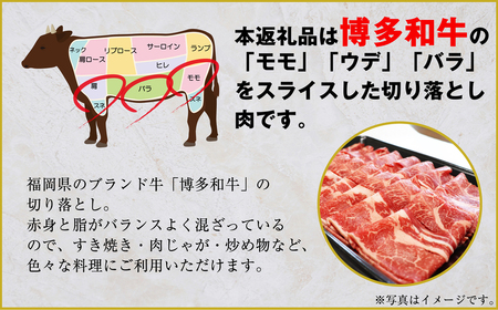 Ｍ545 福岡県産 ブランド牛 博多和牛 100％ 切り落とし (モモ・バラ・ウデ混合) 500g×2パック 計1000g