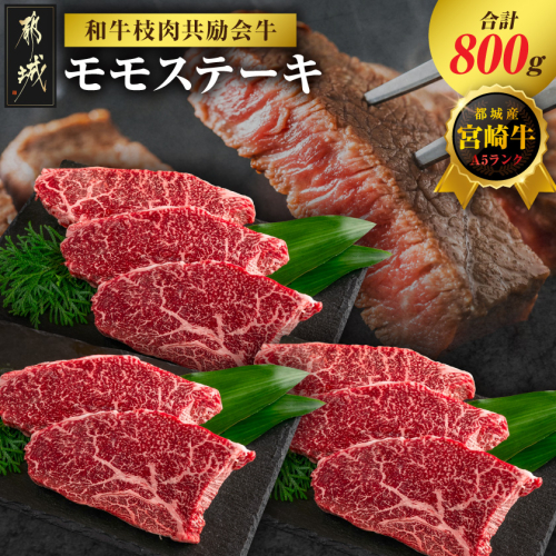 【和牛枝肉共励会牛】(A5)宮崎牛モモステーキ_26-25-012