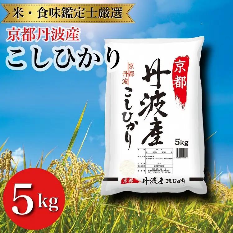京都丹波産こしひかり 5kg 精米 白米
