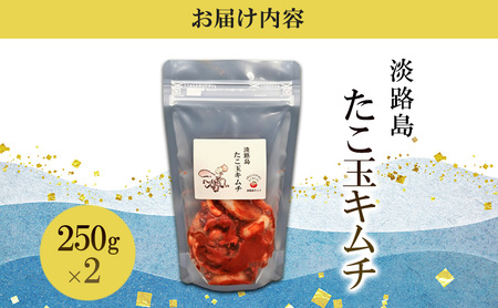 淡路島 たこ玉キムチ 250g×2 キムチ たこ 生たこ 生タコキムチ タコキムチ 海鮮キムチ 玉ネギ 海鮮 惣菜 おつまみ つまみ おかず ごはんのお供 淡路島 洲本市