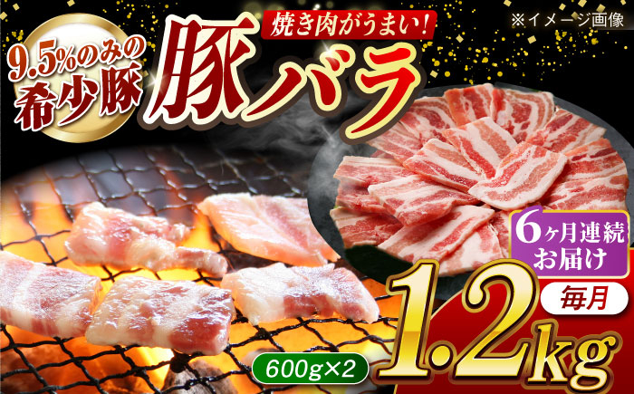 
            【月1回約1.2kg×6回定期便】大西海SPF豚 バラ（焼肉用）計約7.2kg 長崎県/長崎県農協直販 [42ZZAA094]
          