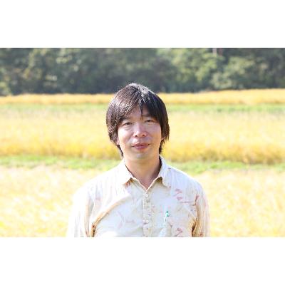 ふるさと納税 佐渡市 【令和7年産新米先行予約】       金賞受賞 佐渡産コシヒカリ    10kg(5kg×2)  |  | 01